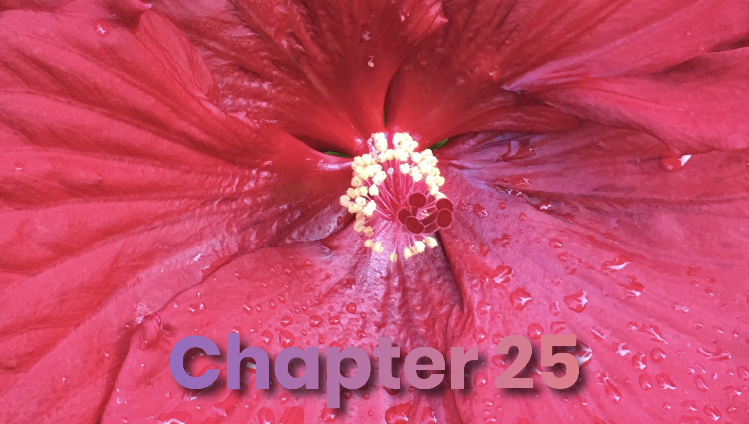 A red flower