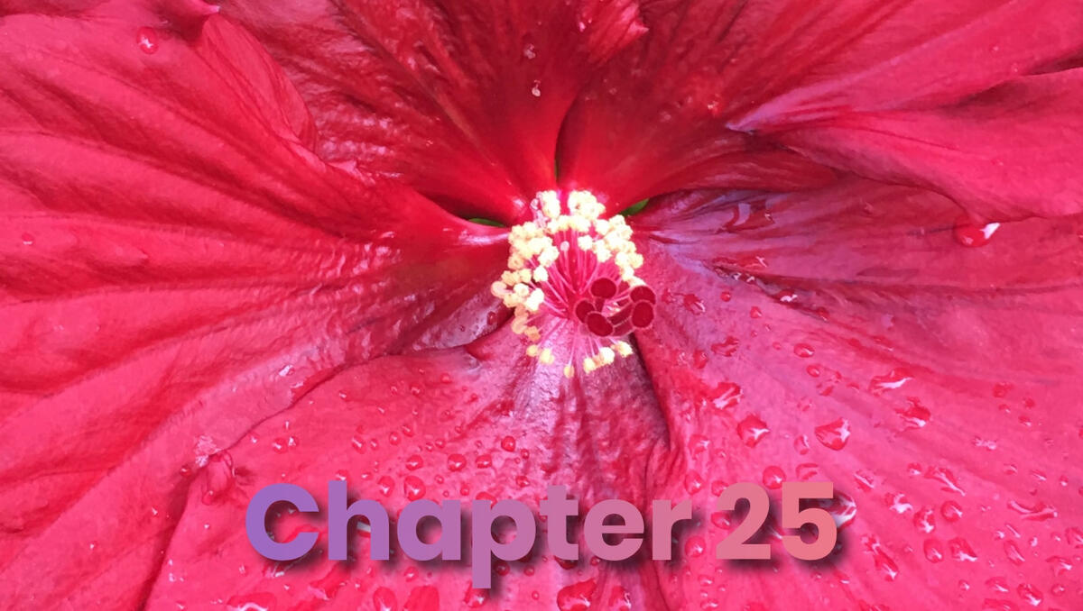 Becoming a Goddess A red flower.