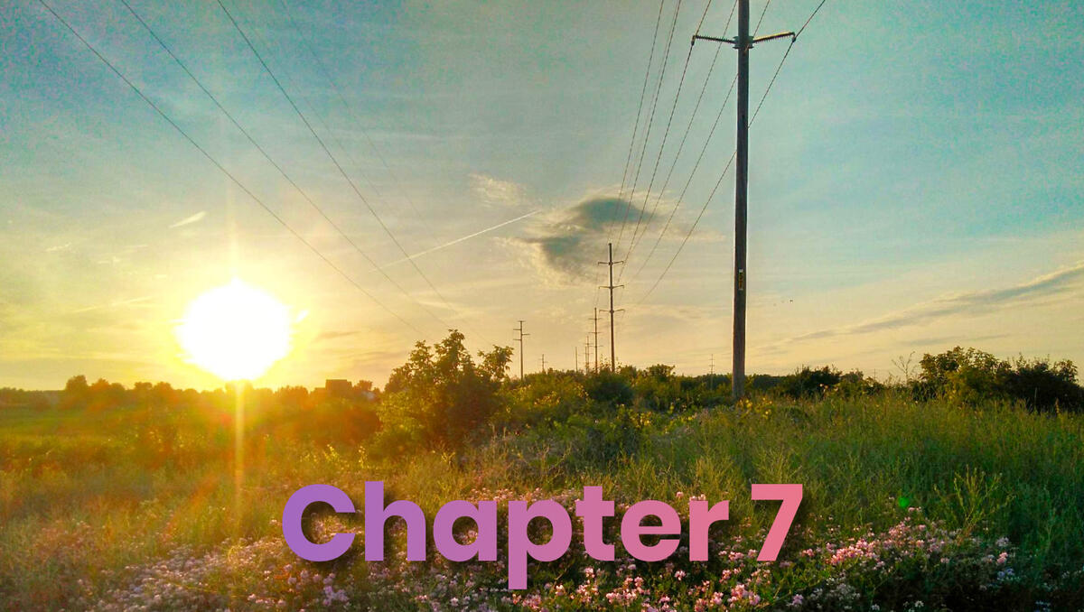 A landscape photo of a sunset over a field with power lines and wildflowers in the foreground.
